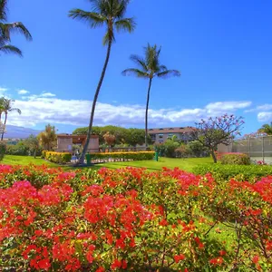 Maui Vista 2220 Apartment Kihei