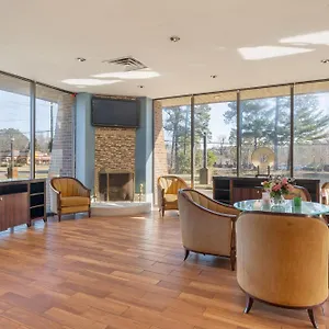  Hotel Williamsburg Suites